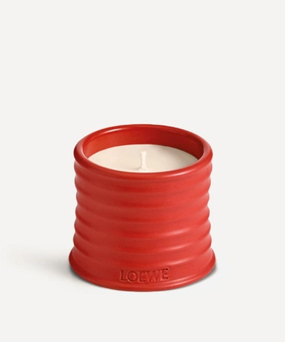 Loewe Tomato Leaves Scented Candle 170g In Brown