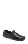 Nordstrom Brody Driving Penny Loafer In Black Croco