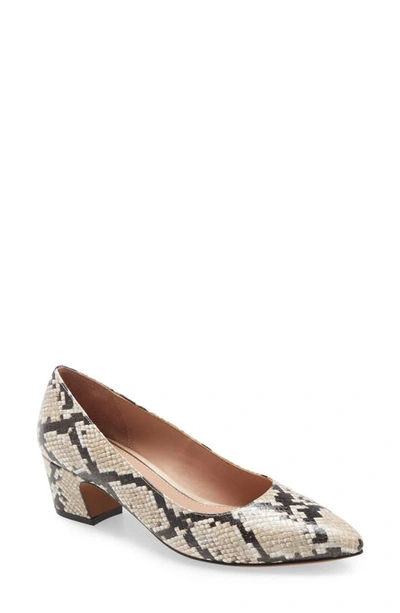 Linea Paolo Bardot Pump In Beige Snake Print Leather