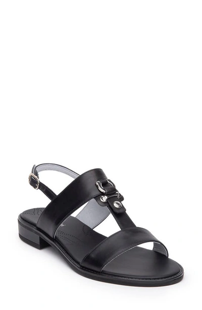 Nerogiardini City Buckle Ankle-strap Flat Sandals In Black