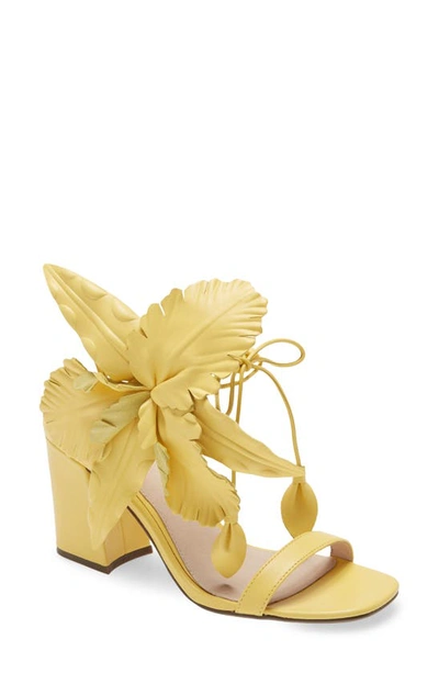 Cecelia New York Hibiscus Sandal In Yellow Suede