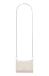 Loewe Anagram Small Leather Wallet On Chain In Light Ghost