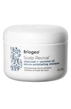 BRIOGEO SCALP REVIVAL CHARCOAL + COCONUT OIL MICRO-EXFOLIATING SHAMPOO, 2 OZ,DS3883