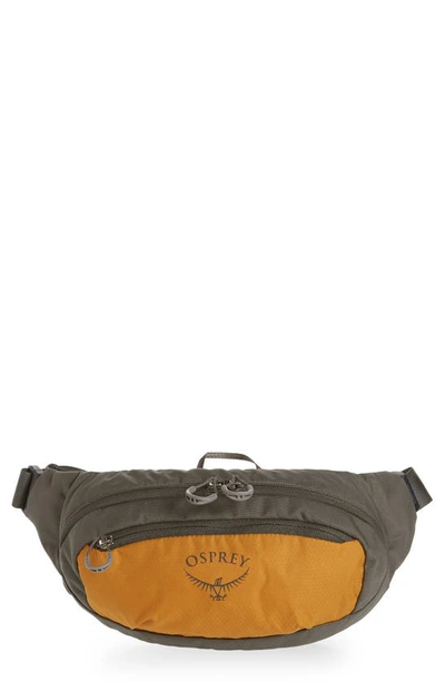 Osprey Daylite Waist Pack In Teakwood Yellow