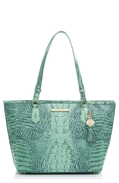 Brahmin 'medium Asher' Leather Tote In Biscay Melbourne