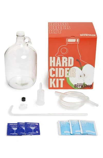 Brooklyn Brew Shop Cider Kit In Multi