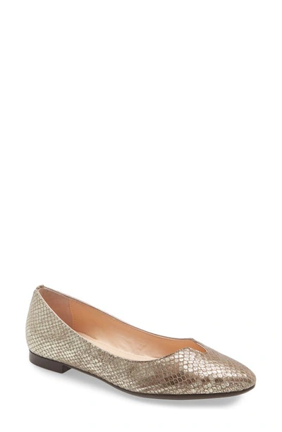 Agl Attilio Giusti Leombruni Notch Ballet Flat In Harriet Taupe