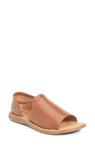 Born Cove Modern Sandal In Brown