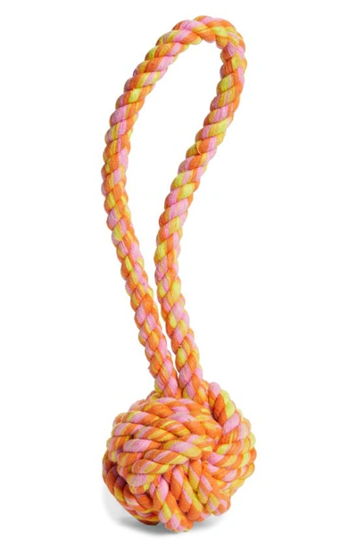 Ware Of The Dog Small Knotted Cotton Rope Dog Toy In Pink
