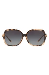 Michael Kors Womens Pink Mk2024 Adrianna Ii Square-frame Acetate Sunglasses In Pink Tortoise/ Black Gradient