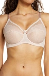 Wacoal Retro Chic Full Figure Underwire Bra In Rose Dust