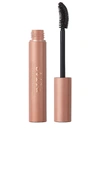 STILA STAY ALL DAY MASCARA,STIL-WU440