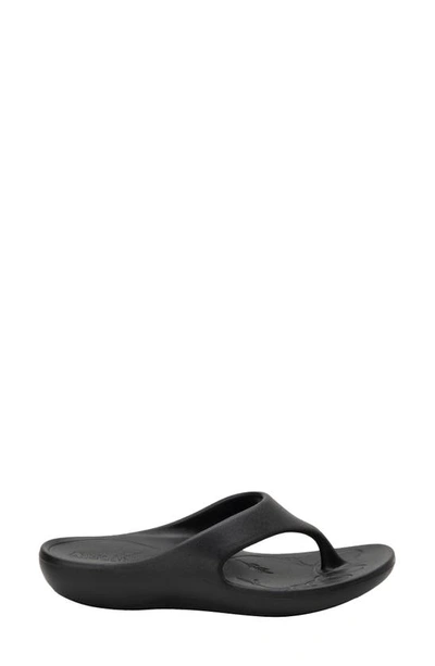 Alegria Alegrai Ode Flip Flop In Black Leather