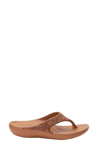 Alegria Alegrai Ode Flip Flop In Tabacco Leather