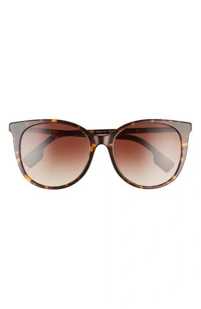 Burberry 55mm Gradient Cat Eye Sunglasses In Dark Havana/ Brown Gradient