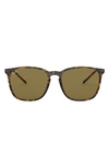 Ray Ban 56mm Sunglasses In Havana Grad