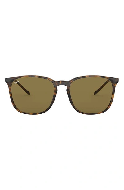 Ray Ban 56mm Sunglasses In Havana Grad