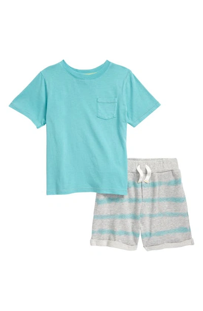 Splendid Kids' T-shirt & Stripe Shorts Set (toddler & Little Boy) In Aqua