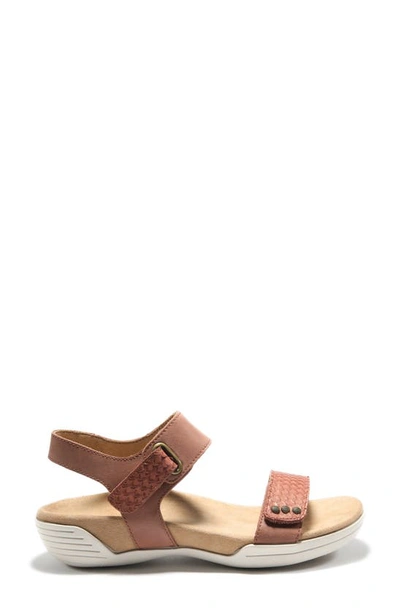 Halsa Footwear Dominica Sandal In Brown Leather