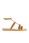 Dolce Vita Kole Strappy Sandal In Brown Studded
