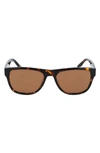 Converse All Star® 57mm Rectangle Sunglasses In Dark Tortoise/ Brown