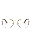 Ray Ban 54mm Optical Glasses In Havana Gold