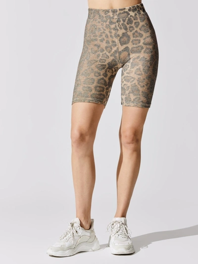 Lna Calvin Brushed Rib Biker - Leopard - Size Xs