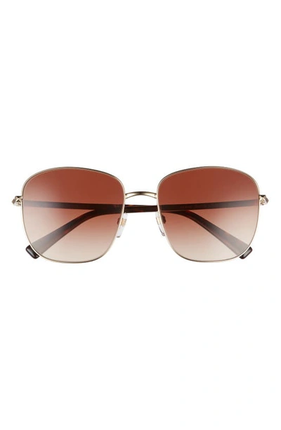 Valentino 57mm Studded Sunglasses In Pale Gold/ Gradient Brown