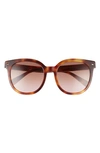 Valentino Women's Round Sunglasses, 55mm In Havana/violet Brown