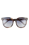 Valentino 55mm Round Sunglasses In Havana Multi/blue Gradient