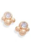 Anzie Bubbling Brook Dew Drop Stud Earrings In White