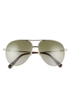 Gold / Green Polarized