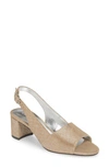 David Tate Rave Sandal In Champagne Suede