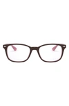 Ray Ban 53mm Optical Glasses In Top Brn
