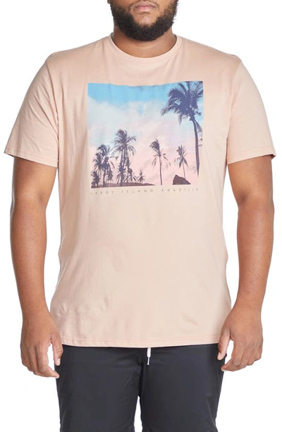 Johnny Bigg Palm Photo Print Graphic Tee In Dusty Pink