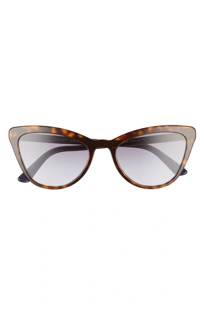 Prada 56mm Gradient Cat Eye Sunglasses In Tortoise/ Violet Gradient Blue