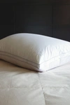 ALLIED HOME NIKKI CHU STANDARD COTTON WHITE GOOSE DOWN BEST PILLOW WITH REMOVABLE COVER,815584026939