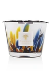 Baobab Collection Rainforest Candle In Mayombe