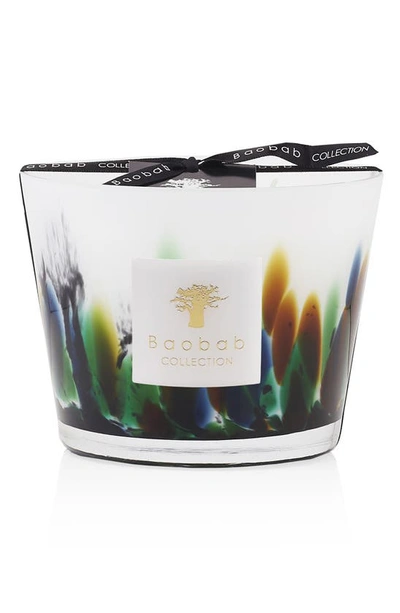 Baobab Collection Rainforest Candle In Amazonia
