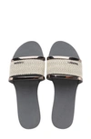 Havaianas Women's You Trancoso Premium Flip Flop Sandals Women's Shoes In Grey