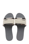 Havaianas 'you Trancoso Premium' Logo Plaque Triple Band Flatform Sandals In Grey