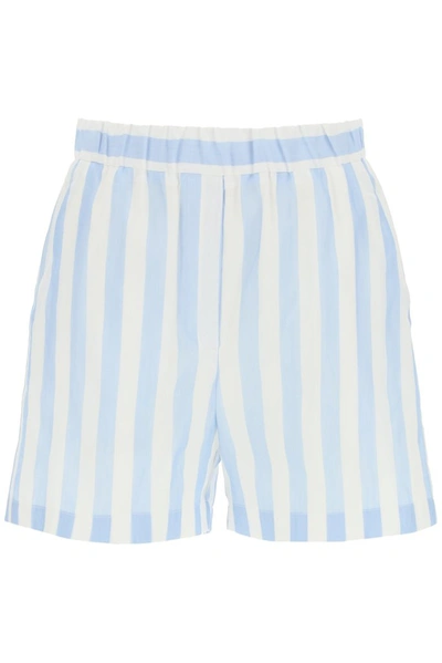 Msgm Striped Cotton Shorts In Light Blue,white