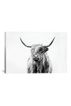 ICANVAS PORTRAIT OF A HIGHLAND COW BY DORIT FUHG WALL ART,889850508238