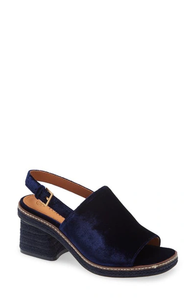 Tory Burch Ankle Strap Espadrille Sandal In Blue