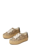 Toms Cassiah Lace-up Espadrille In Natural