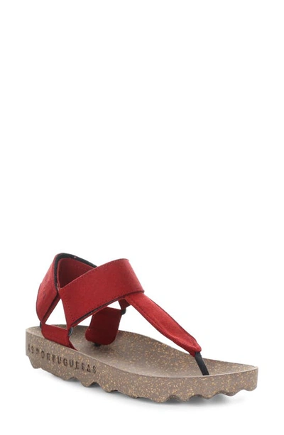 Asportuguesas By Fly London Asportuguesas By London Fizz Sandal In Red/ Brown Suede