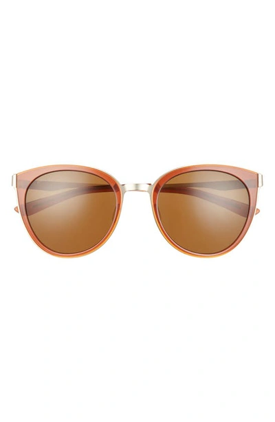 Smith Somerset 53mm Polarized Cat Eye Sunglasses In Amber/ Polarized Brown
