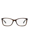Michael Kors 53mm Optical Glasses In Tortoise