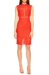 Bardot Lace Sheath Cocktail Dress In Raspberry