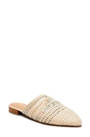 MATISSE XOXO POINTED TOE MULE,XOXO